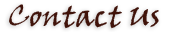 Contact Us