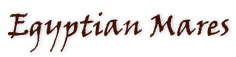 Egyptian Mares