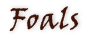 Foals